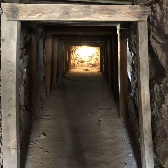 Meet your Posher, Jerry - Picture 1 of 1